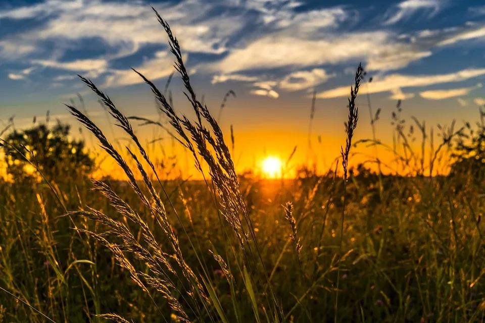 Sommer 2024 im Mühlenkreis: Wetterrückblick und spannende Rekorde