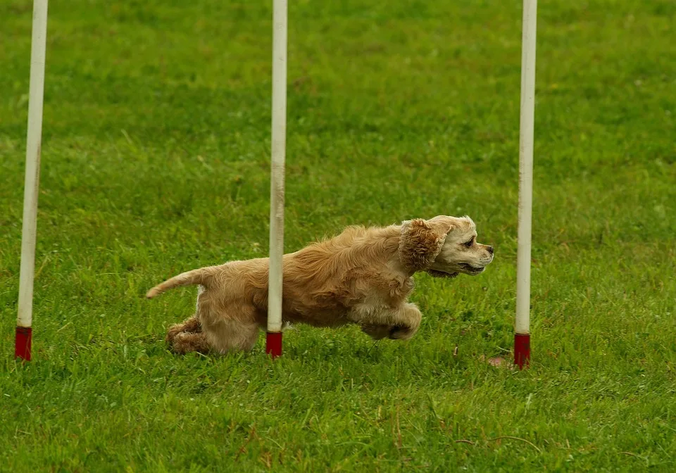 Sportboot-Unfall bei Knetzgau: Insassen und Hund retten sich ans Ufer