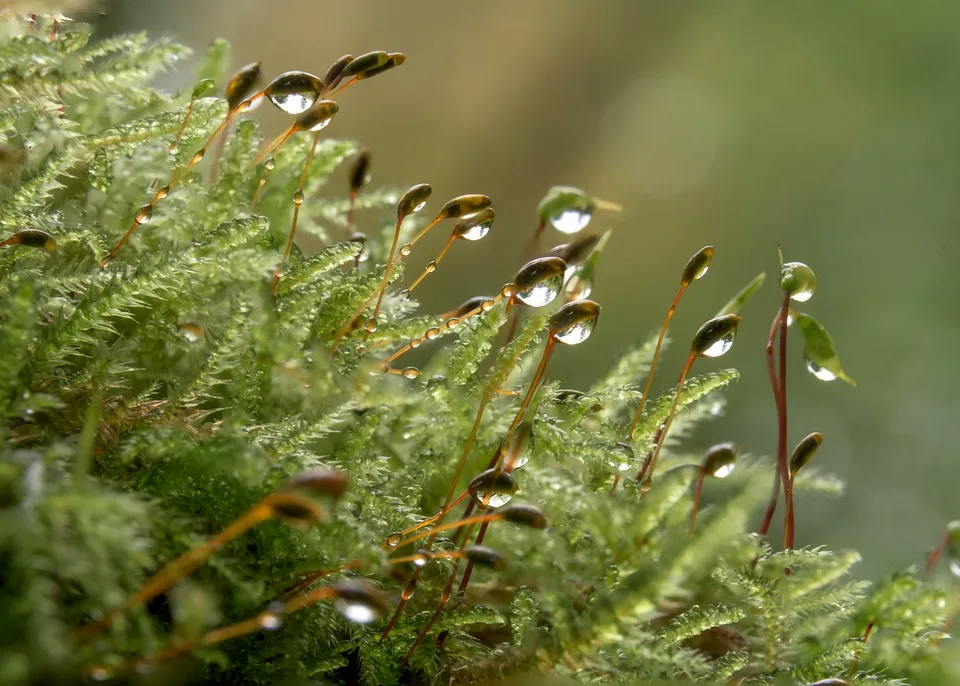 Starkregen und Gewitter: Wetterwarnung für Baden-Württemberg