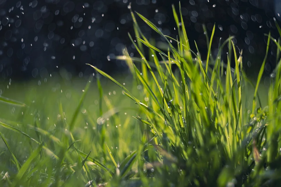 Starkregen und Überschwemmungen: Herbstbeginn in Rheinland-Pfalz