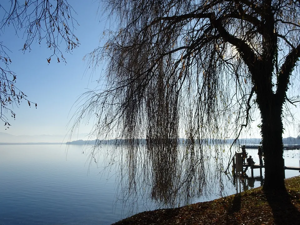 Suchaktion in Tutzing: Vermisste Frau gefunden, Schüsse in Traubing?