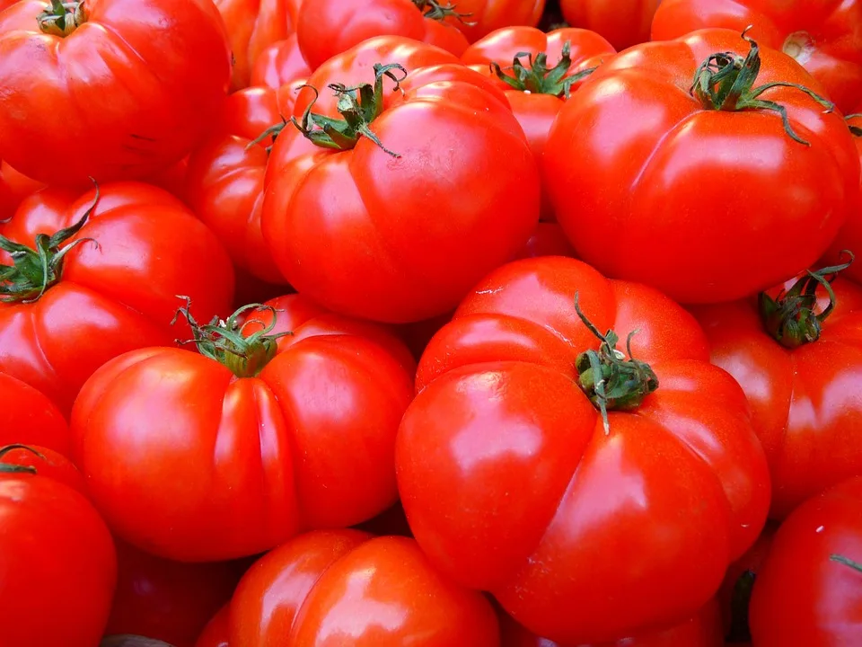 Tomatenfest und kühe einfangen: Landleben hautnah erleben!