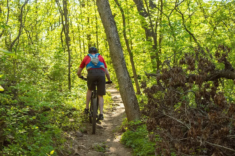 Tragischer Unfall: Mountainbiker stirbt nach Sturz in Haldenwang