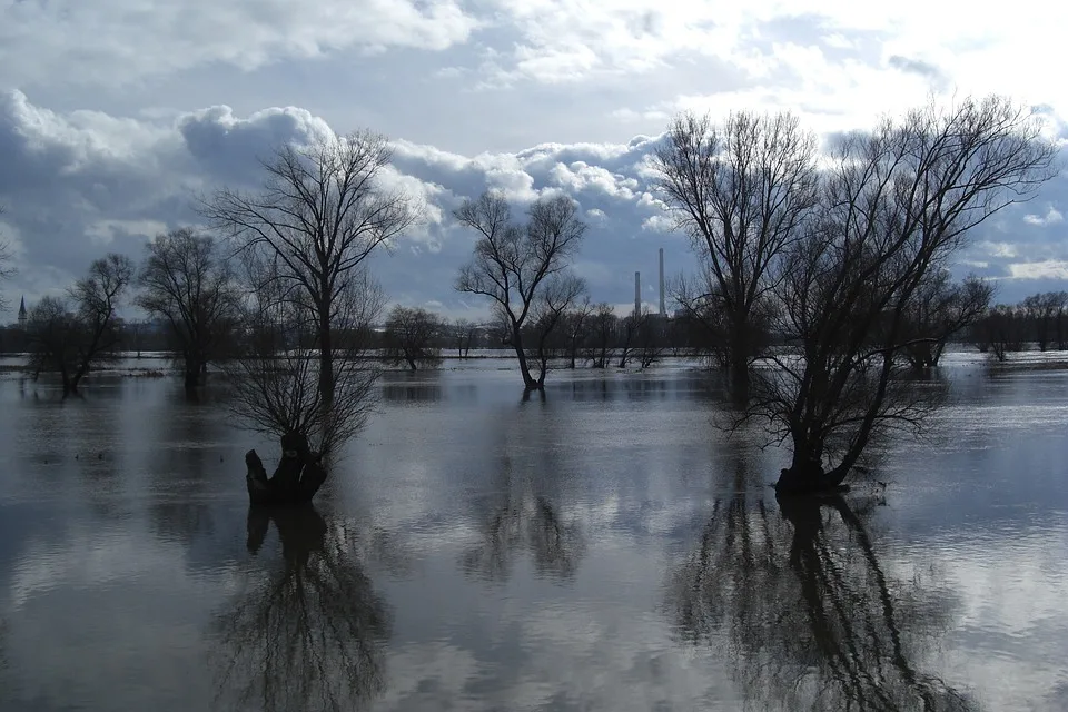 Unwetter-Katastrophe: Waldviertel vor einem Jahrhundert-Hochwasser?