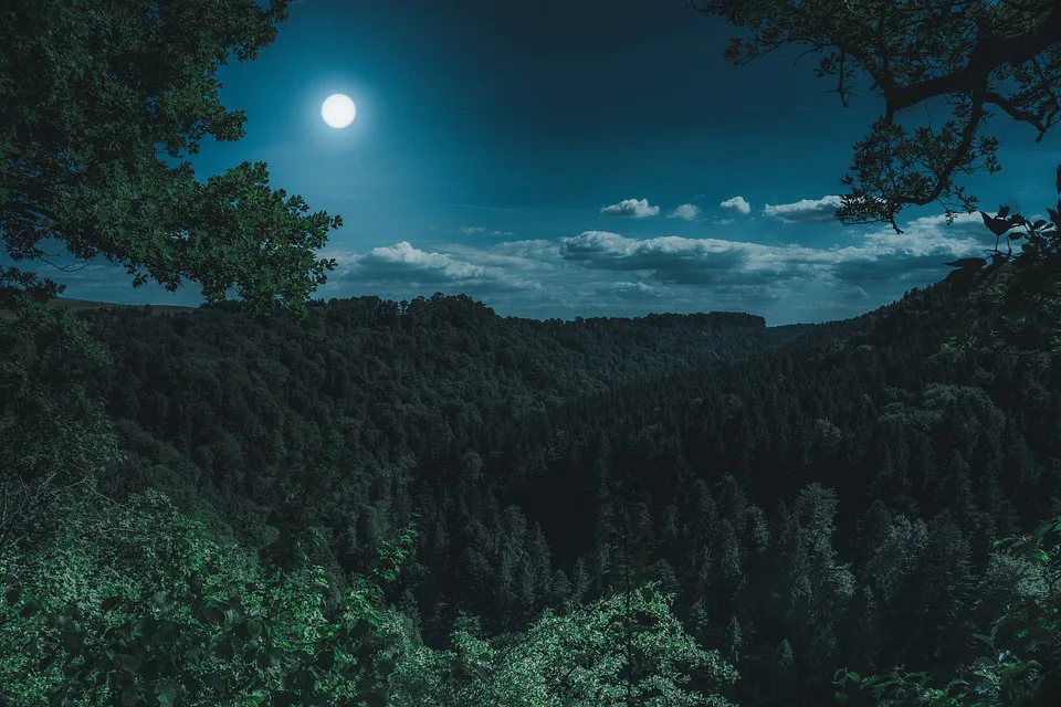 Vollmond und partielle Mondfinsternis: Ein spektakulärer Morgen in Bensheim!