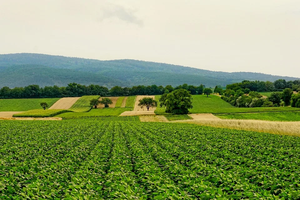 Wahl und Wandel: Brandenburgs Zukunft der Landwirtschaft im Fokus!