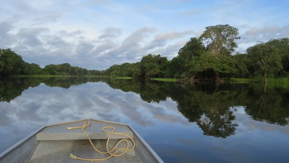 Waldbrände im Amazonas: Der unberührte Regenwald steht auf der Kippe!