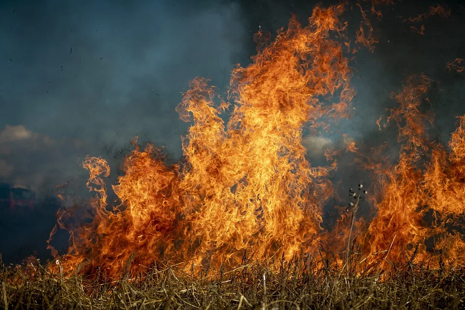 Waldbrand am Brocken: 500 Evakuierte kämpfen gegen die Flammen