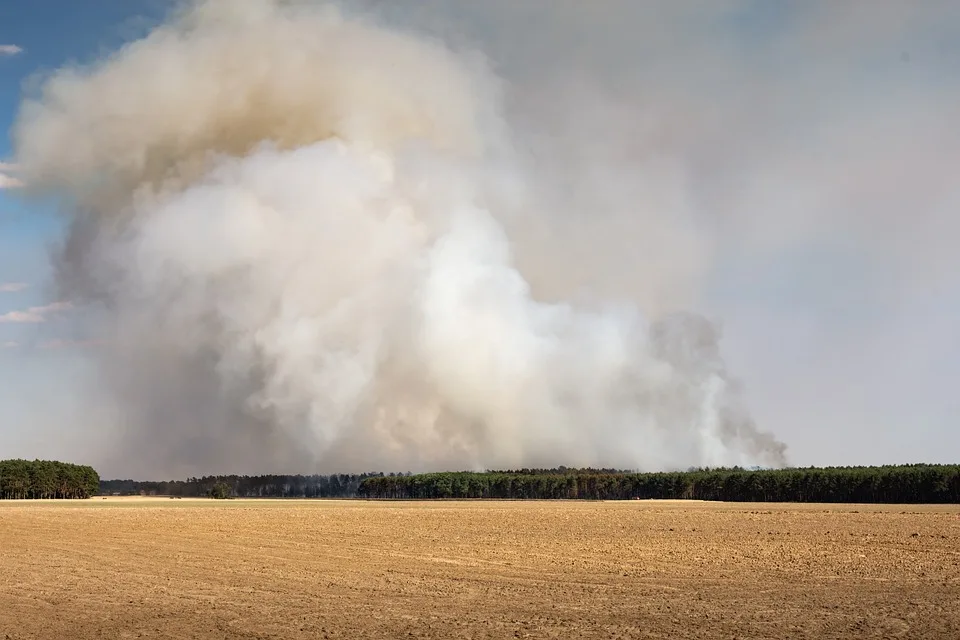 Waldbrand am Brocken: 500 Menschen evakuiert, Feuerwehr im Dauereinsatz