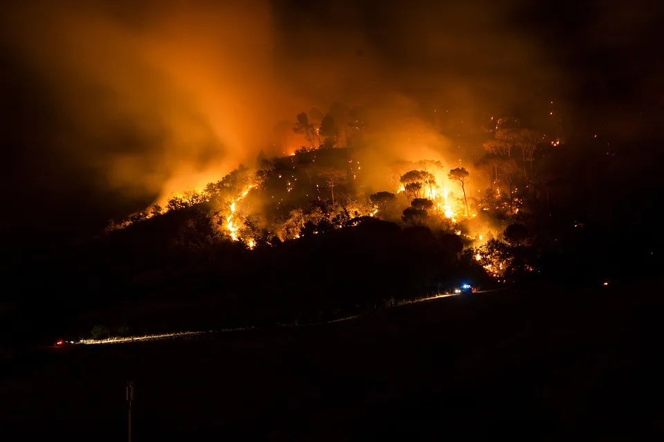 Waldbrand im Harz: Einsatzkräfte und Anwohner im Kampf gegen die Flammen