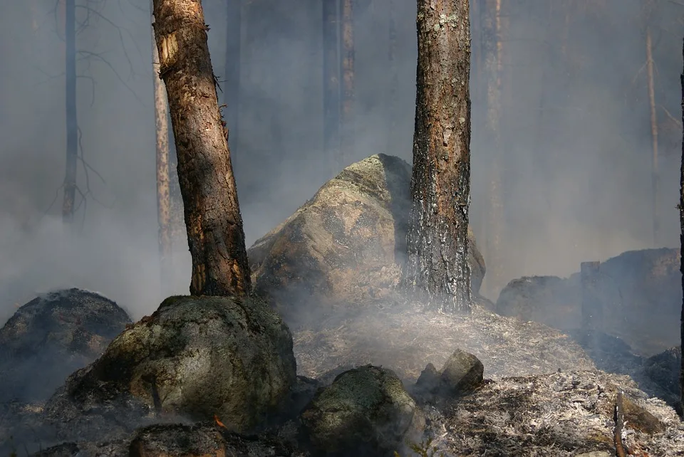 Waldbrand im Harz: Evakuierung am Brocken sorgt für Aufsehen