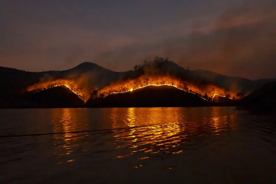 Waldbrand in San Bernardino: Feuerwehr kämpft gegen verheerende Flammen