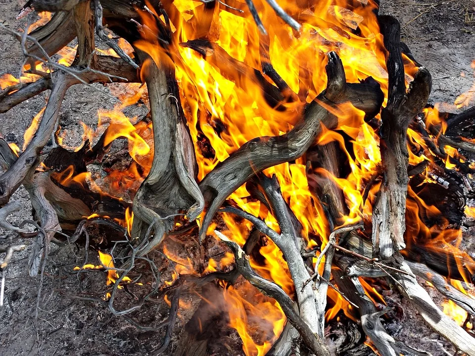 Waldbrandgefahr: Brocken-Region und Sachsen-Anhalt in Alarmbereitschaft