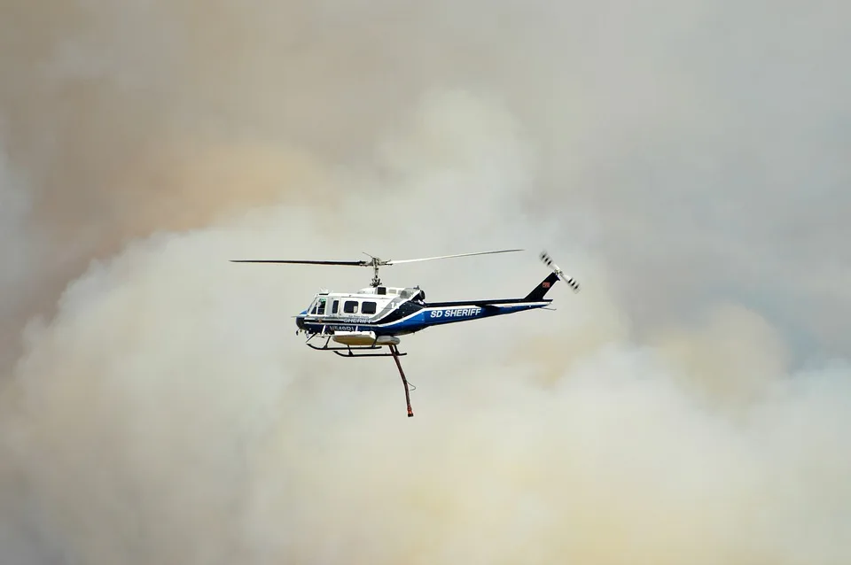 Waldbrandgefahr in Deutschland: Anstieg durch Klimawandel erwartet