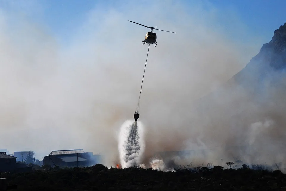 Waldbrandgefahr in Deutschland: Wo die Krise droht und Lösungen gefragt sind