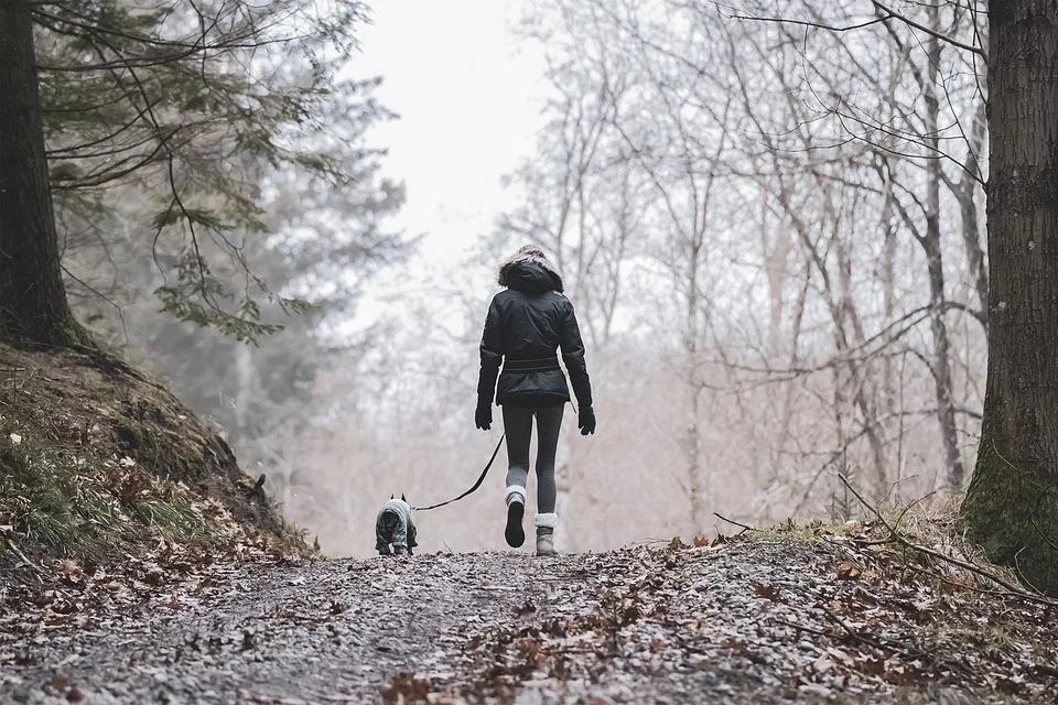 Wanderung für Menschen mit Demenz: Entdecken und Erinnern im St. Wendeler Land!