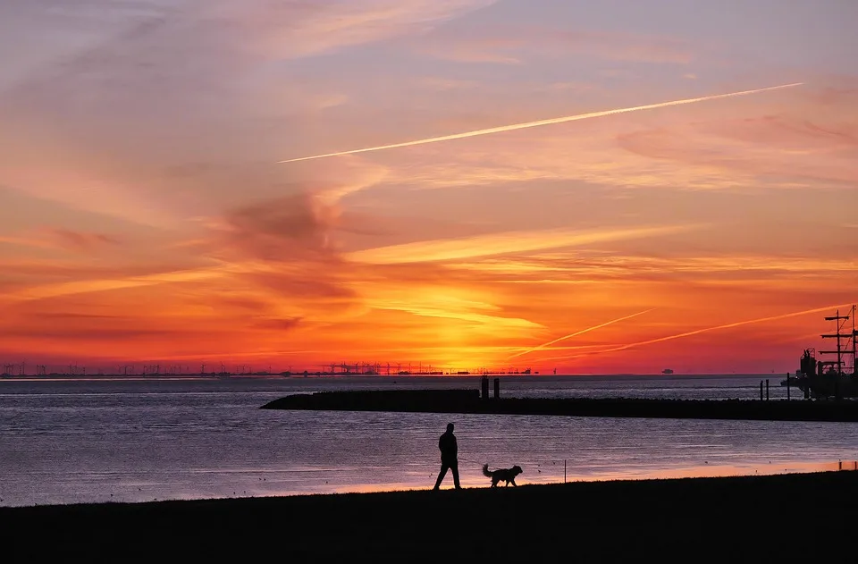 Wattwanderer aufgepasst: So bleibt ihr bei Ebbe sicher in Cuxhaven!