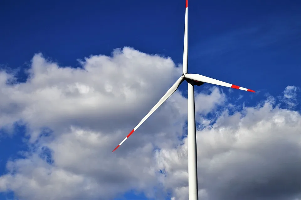 Windräder am Buschbergsee: Naturschützer warnen vor Gefahren für Vögel