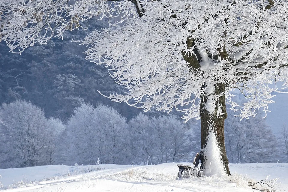 Wintereinbruch überrascht Bergtouristen: Rettung für unzureichend gekleidetes Paar!