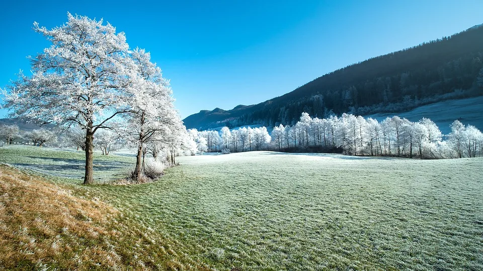 Winterreifen-Pflicht: Diese neuen Regeln bringen hohe Bußgelder!