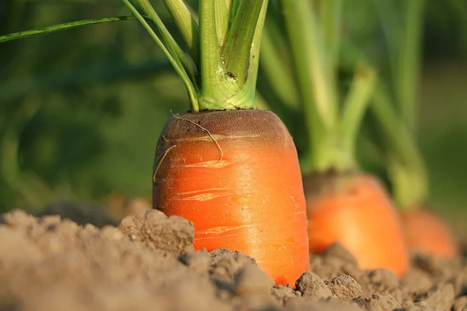 Zukunft der Landwirtschaft: Westerwälder Landwirte und Politik im Dialog