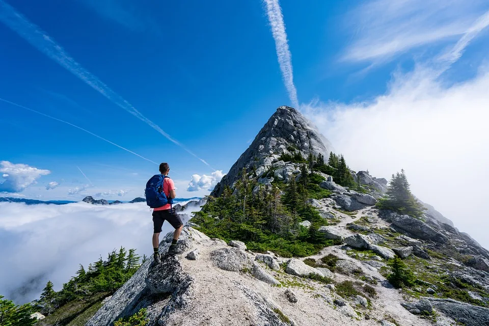 Entdecke die 5 besten Wanderwege: Natur und Geschichte in Rheinland-Pfalz!