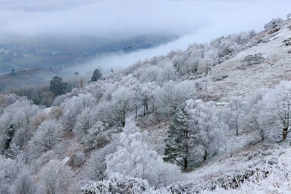 Entdecke Die Natur Spannende Veranstaltungen Im Museum Wald Und Umwelt.jpg