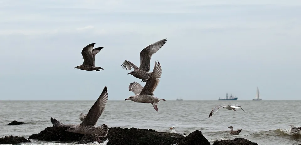 Esens Die Verborgene Perle Fuer Deinen Nordsee Ausflug.jpg