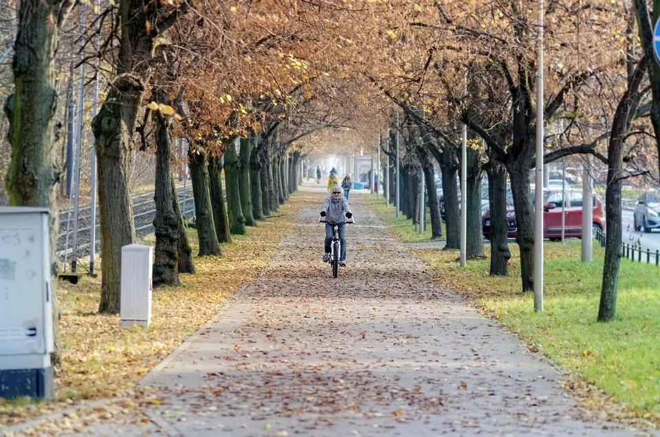 Fahrradklau Am Stiftsplatz Wer Hat Den Dieb Gesehen.jpg