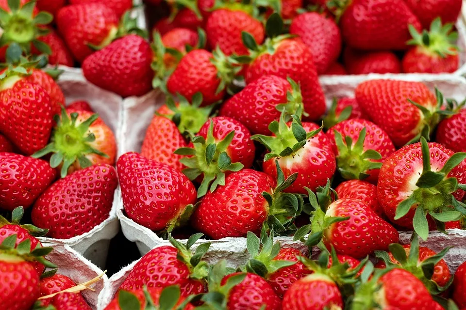 Grüner Markt in Neubrandenburg: Frisches aus der Region am Samstag!