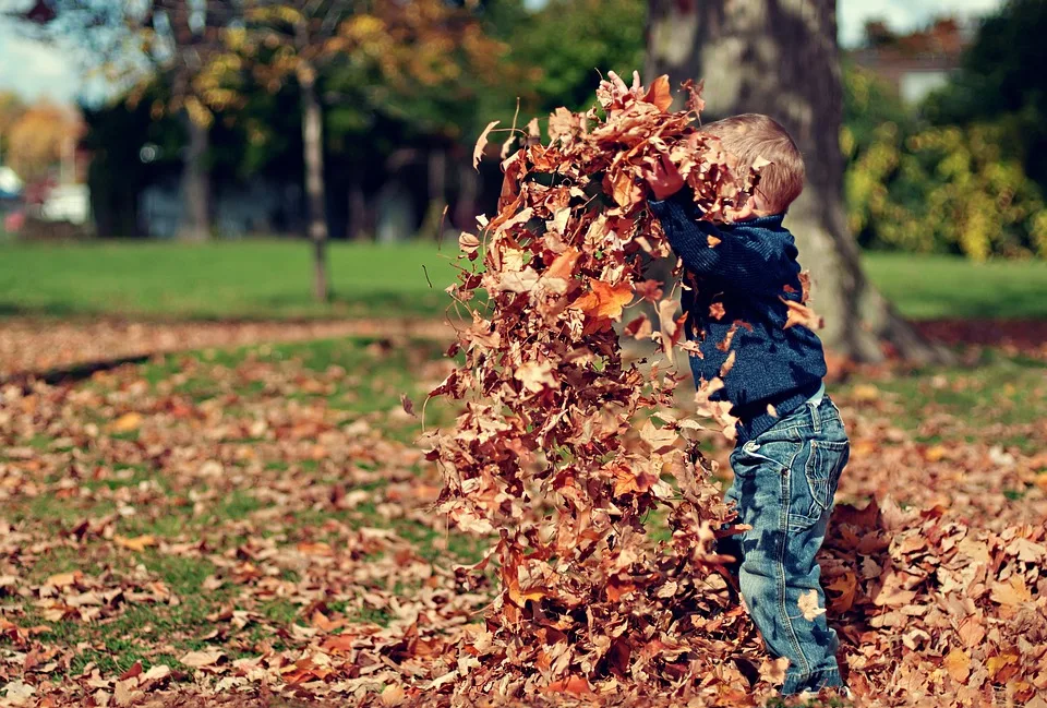 Herbstliche Einkaufslust Verkauftag In Sandhausen Am 13 Oktober.jpg