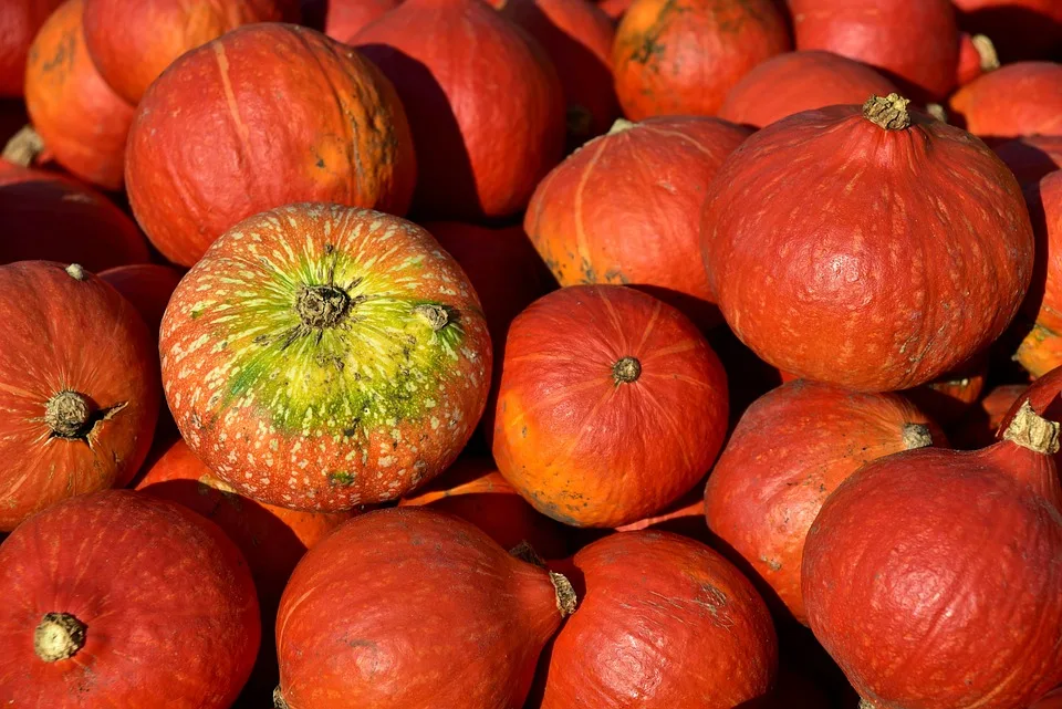 Kürbis-Wettkampf in Möckern: 687 kg schweres Ungeheuer begeistert!