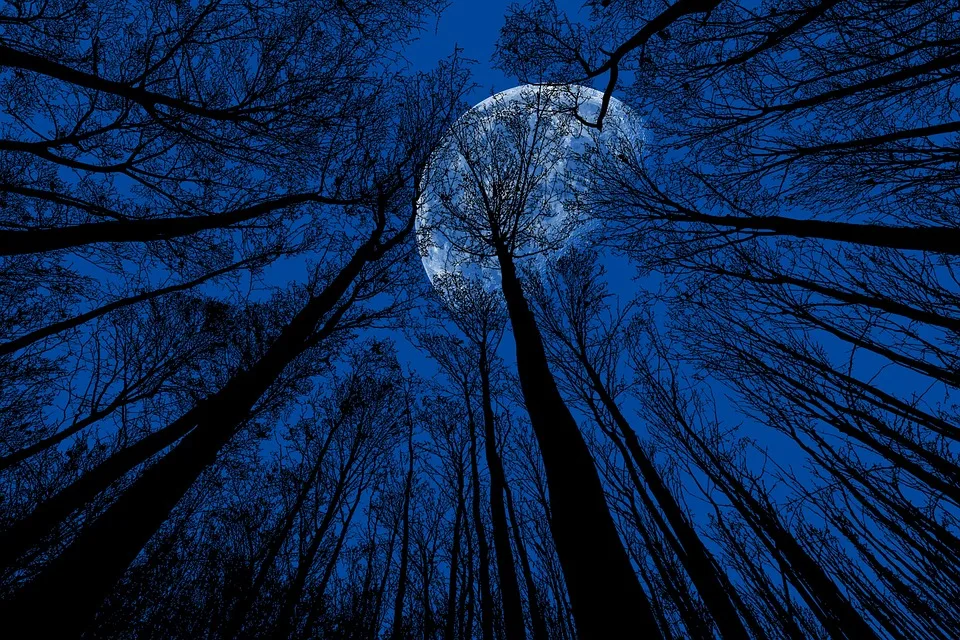 Moonlight-Shopping in Stendal: Abendliche Entdeckungsreise für alle!