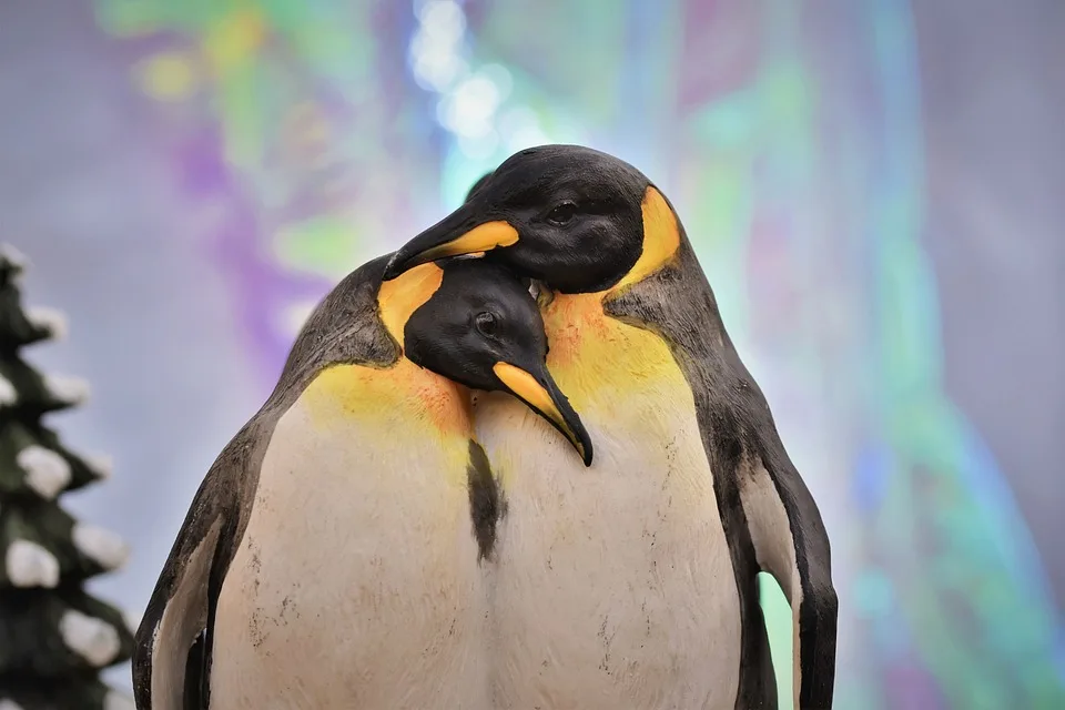 Pinguin-Museum in Cuxhaven schließt: Letzte Chance im Schlussverkauf!