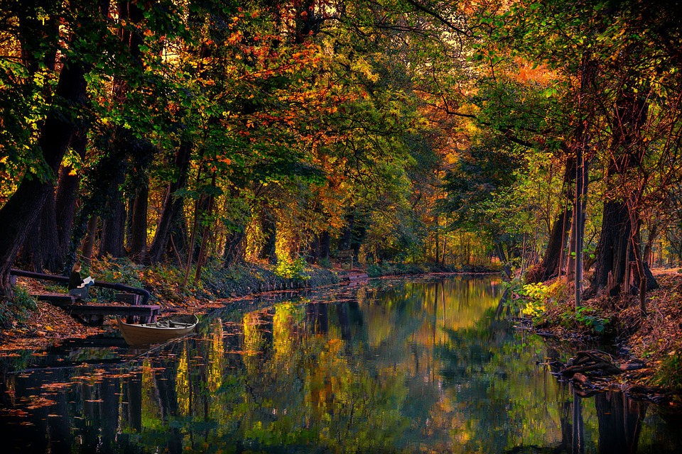 Spreewald-Highlights: Das Wochenende voller Veranstaltungen wartet!