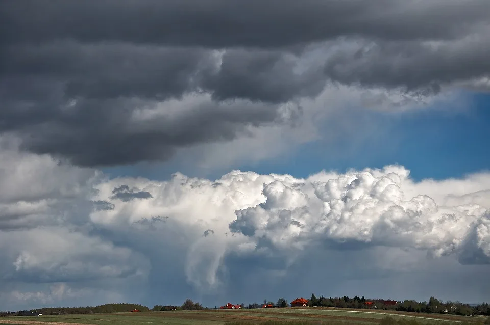 Sturm Kirk Sorgt Fuer Chaos Baeume Umgestuerzt Und Strassen Blockiert.jpg