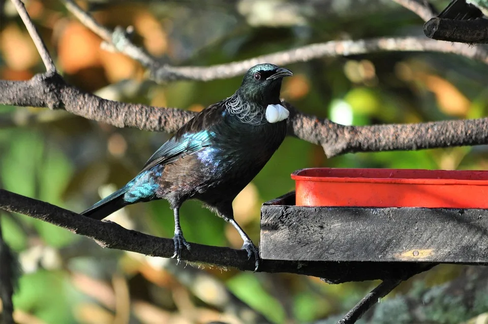 Tui Startet Grossen Umbau Mehr Urlaubsziele Fuer Deutsche Reisende.jpg