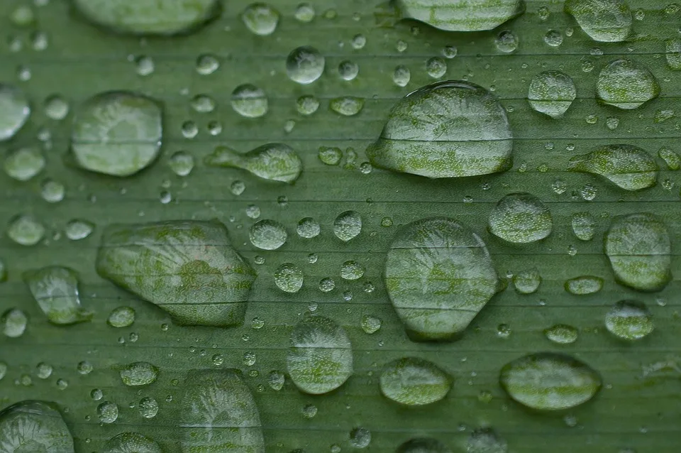 Unwetterwarnung In Ahrweiler Dauerregen Droht So Schuetzen Sie Sich.jpg