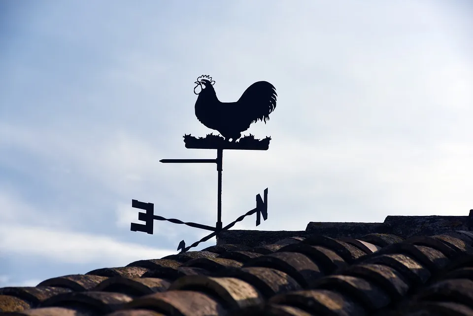 Wetter und Pollenwarnung: So beeinflusst das Biowetter Ihre Gesundheit!