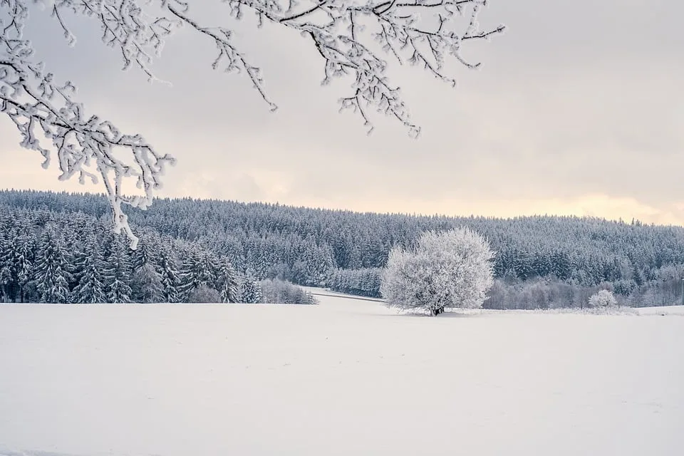 Winterlicher Wettertrend Fuer Baden Wuerttemberg Mild Oder Frostig.jpg