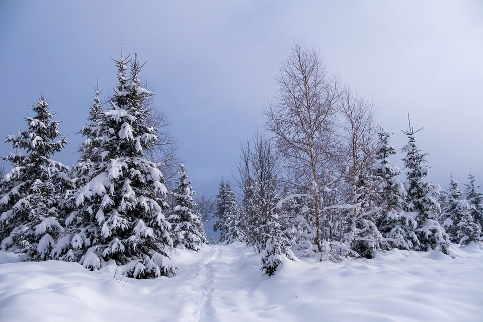 Winterwunderland Nordsee: Neues Magazin für zauberhafte Erlebnisse!