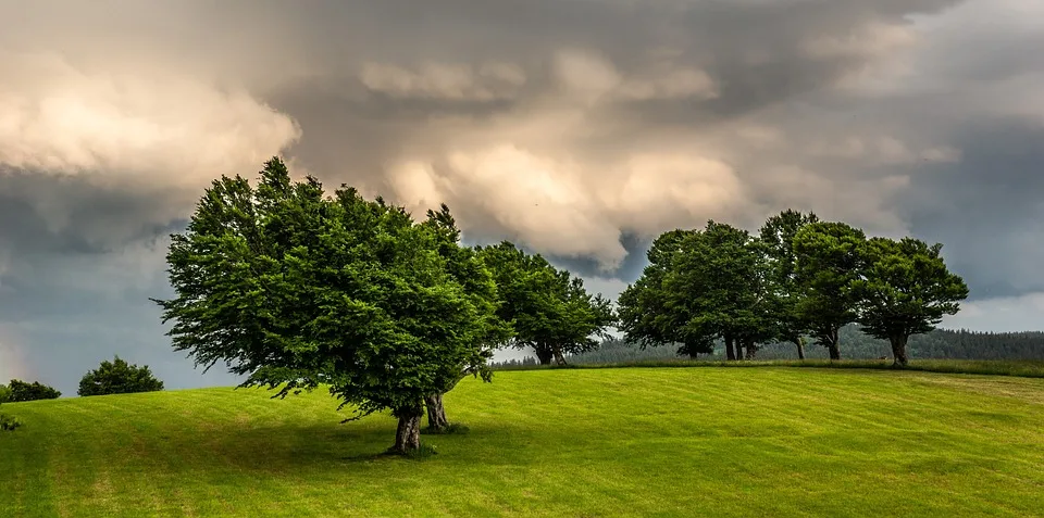 Zweifelhaftes Wetter zum Tag der Deutschen Einheit: Regen oder Sonne?