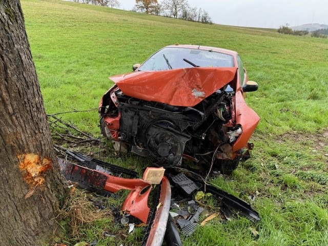 Fahrerflucht im Reiffelbach: Auto kracht nach Reh-Ausrutscher!