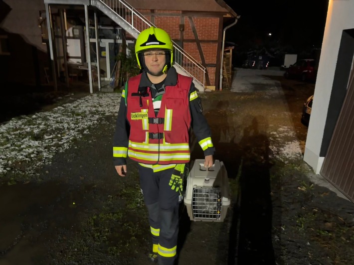 Feuerwehr rettet Katzen bei CO-Gefahr: Dramatischer Einsatz in Eicklingen!