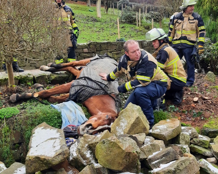 Heldentat der Feuerwehr: Pferd nach Sturz erfolgreich gerettet!