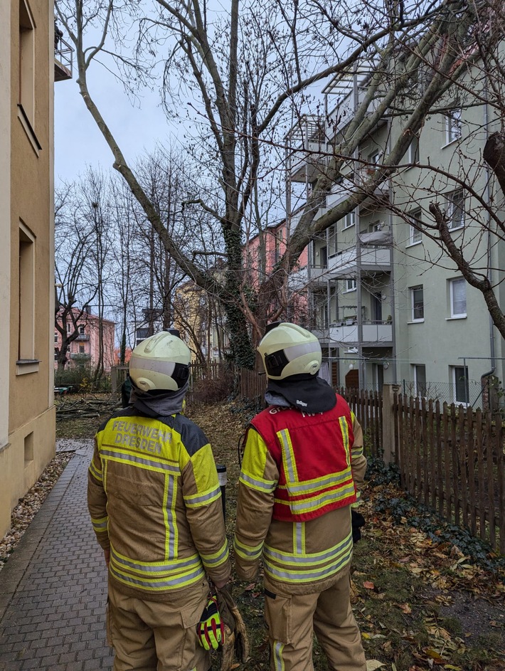 Sturmwarnung in Dresden: Feuerwehr kämpft gegen umfallende Bäume!