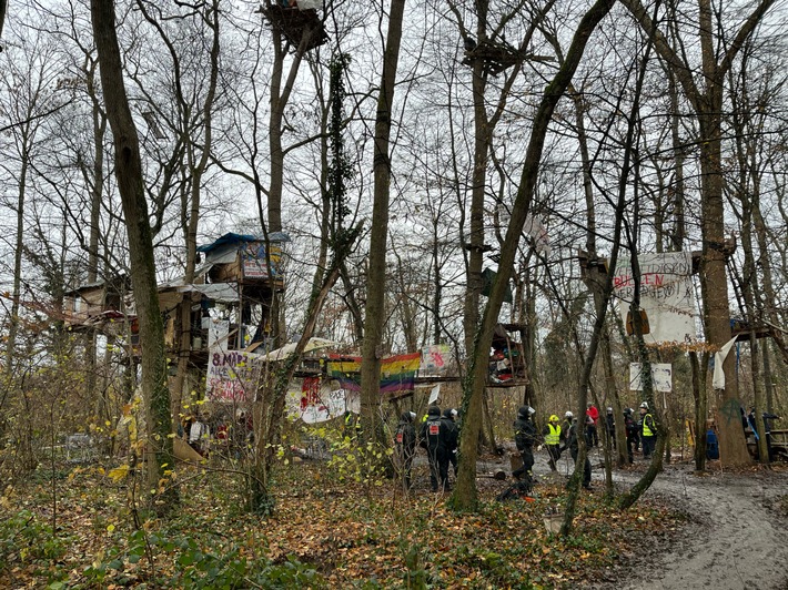 Drama im Wald: Polizei räumt besetztes Gebiet in Freiburg!