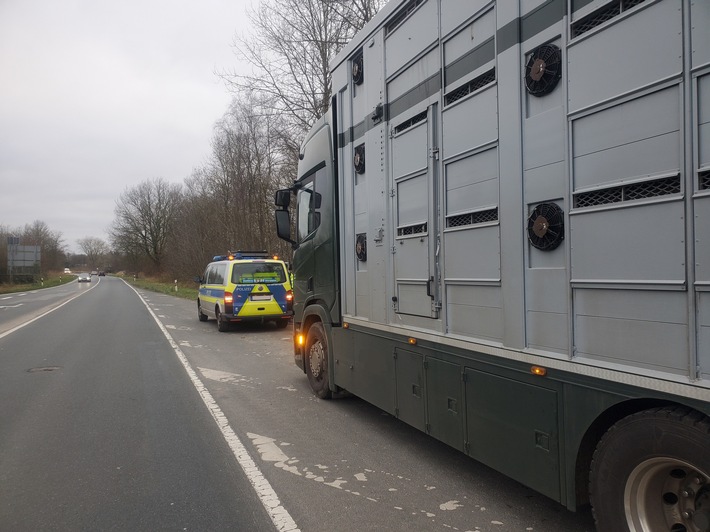 Erfolgreiche Kontrollen: Polizei und Veterinäre sichern Tiere und Lebensmittel