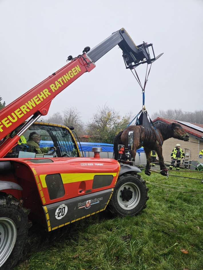 Großeinsatz der Feuerwehr: Pferde-Rettung in Erkrath sorgt für Aufsehen!