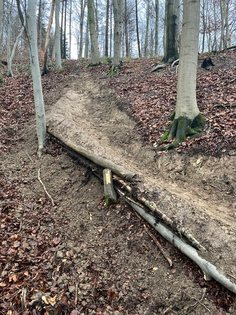 Illegaler Mountainbiketrail in Lauenau: Jugendliche in der Falle!